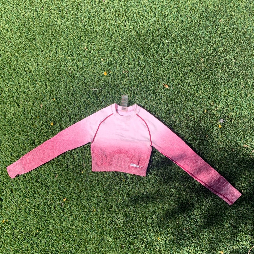 Gymshark Ombre Seamless Crop Top  Pink/Beet Size S